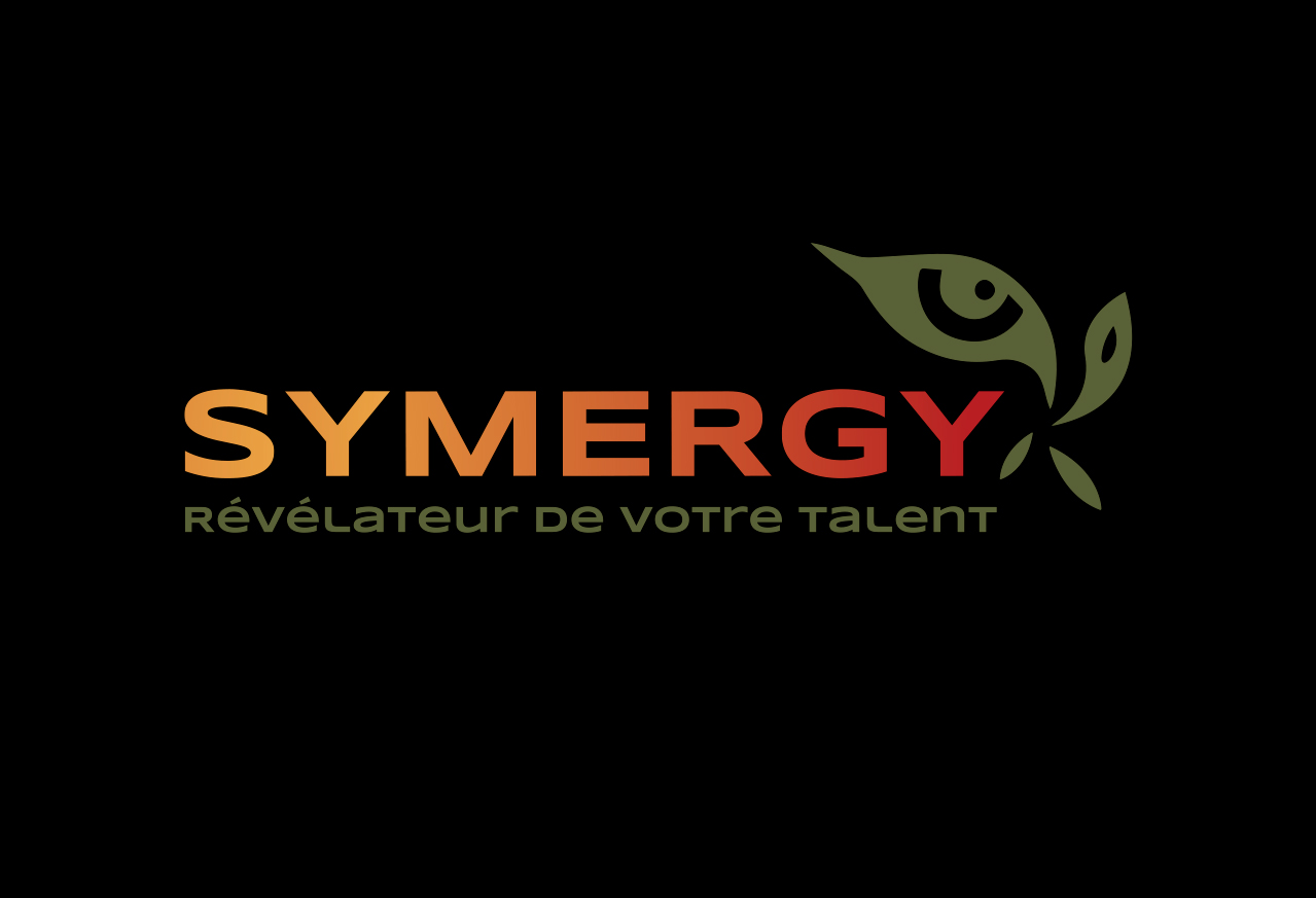 Création Logo Symergy pour entreprise à Toulouse Jean-Brummel NGUYEN Graphiste Infographiste à Aucamville